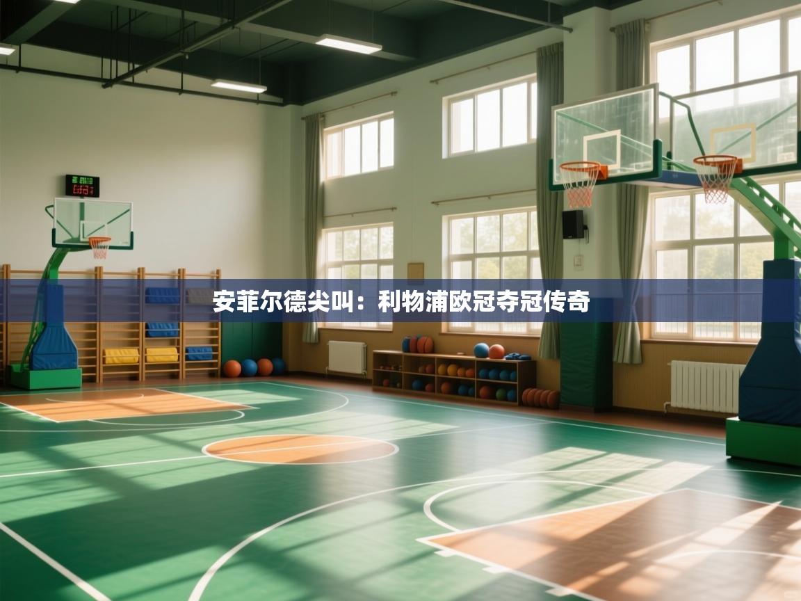 开云体育登录入口网址-安菲尔德尖叫：利物浦欧冠夺冠传奇  第1张